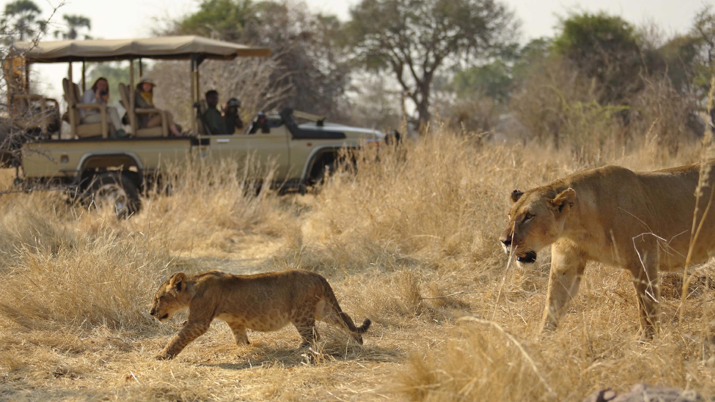 Ruaha National Park
